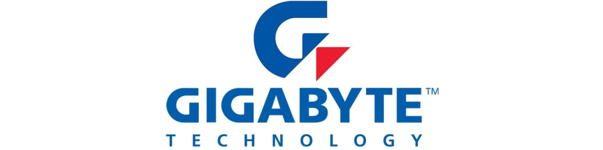 Gigabyte